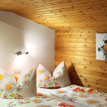 Haus Silberwang 200s 格尔提波希尔